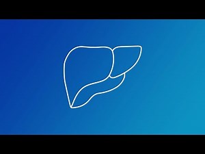 Philips EPIQ ultimate ultrasound solution for liver assessment