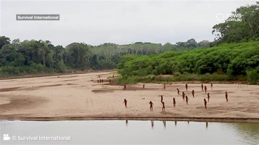 Tourist who visited illicit tribe revealed