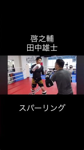 田中雄士啓之輔スパーリング #キックボクシング #k1wgp #格闘技 #ブレイキングダウン