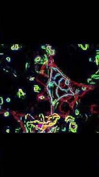 #movie #starwars #nerd #anime #music #edm #electronicmusic #psychedelictrance #youtubeshorts #trend