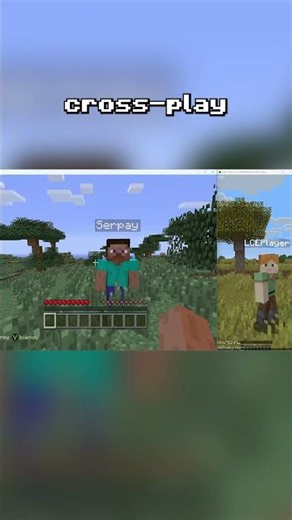 Cross Platform between console and Java! #minecraftupdate #minecraftnews #leak #legacyedition