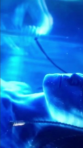 Avatar: The Way Of Water Scenes | Grace & Kiri