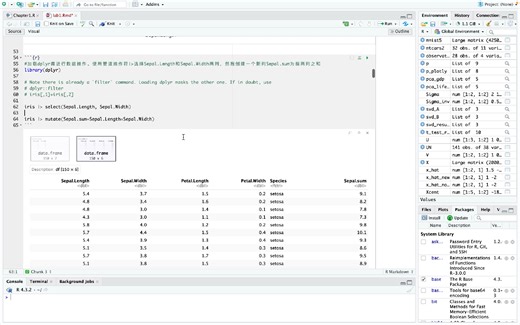Rstudio代码实战Chapter 1｜Iris dataset鸢尾花数据集｜MINST数据集｜矩阵基本处理｜散点图构建