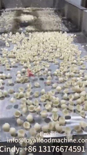 Perfect Shell Pasta in the Making — Live Machine Debugging in Action!#pastamachine +86 13176674591