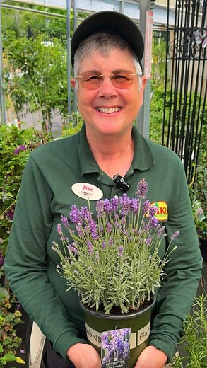 19K reactions · 11 shares | Lavender’s Best Garden Friends  Looking...