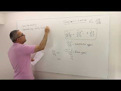 (M4E7) [Microeconomics] Shephard's Lemma and Slutsky Equation