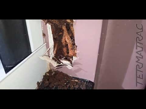 Termatrac T3i Radar Sensor non-invasive detection of Termite Activity!