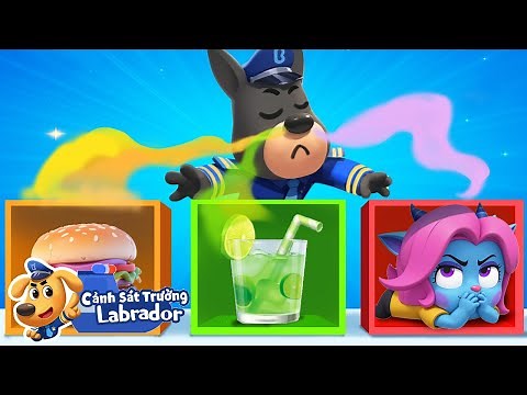 👃 Khứu giác siêu phàm của cảnh sát | Hoạt hình thiếu nhi 👮 Cảnh sát trưởng Labrador Vietnam 🚔
