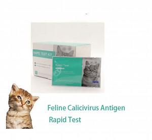 [Hot Item] Felivet Fcv AG Test Calicivirus Symptoms Feline Calici