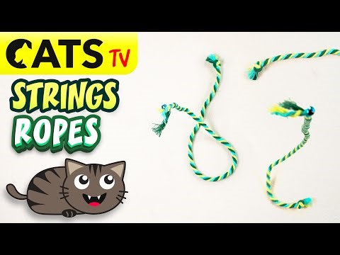 CATS TV 📺 Rope strings 😻 Games for cats 🔊 3D Sound