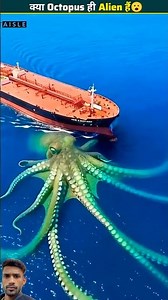 Earth's Strangest Creature 😱Are OctopusesActually Aliens?👽