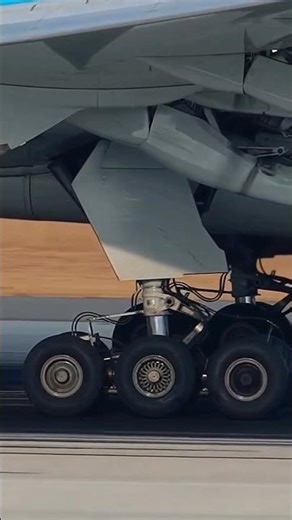 Landing gear always looks oversized until you pay attention to what it actually handles