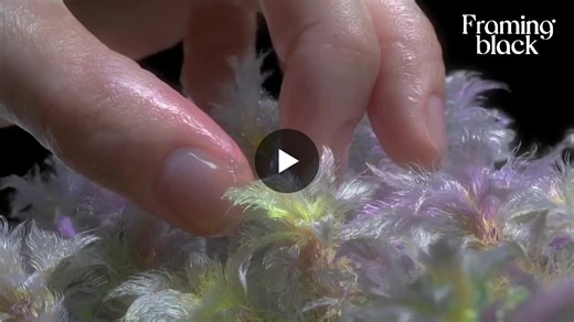 Was exploring some Midjourney sref codes recently and found one that really caught my eye. Decided to give it a try and ended up making this video.......i have put sref code and one prompt so you can… | Nupur Bhagat