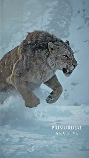 Ice Age Giants: The Majestic Cave Lion 🦁❄️ #megafauna #prehistoric #paleontology #cavelion #iceage