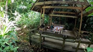 Best Things To Do in Roatan, Honduras