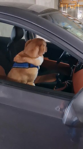 11K views · 76 reactions | Te extraño tanto... | Eduardo Fuentes | Facebook