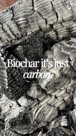 Southland Carbon on Instagram: "Biochar. It’s just carbon, but it’s the structure that makes it special. 🌱 Biochar is made almost entirely of carbon. What sets it apart is its phenomenal structure. Each particle is packed with microscopic pores, creating a huge surface area that works hard in the soil. This unique structure helps biochar: • Hold onto nutrients like nitrogen • Improve soil structure and water retention • Support beneficial soil microbes • Lock carbon into the soil long-term So w