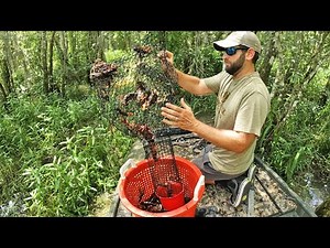 Trapping 100’s of Crawfish in a Flooded Swamp (Catch and Cook)