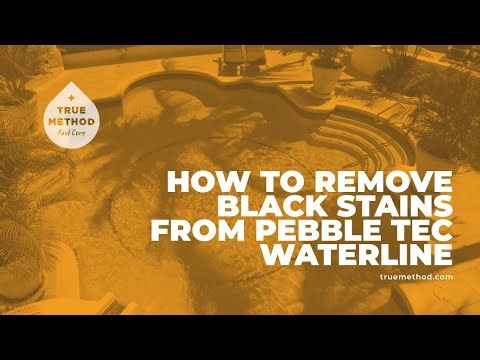 How To Remove Black Stains on Pebble Tec Waterline
