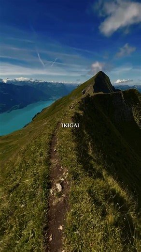 Here Are 6 Japanese Techniques To Overcome Laziness!💙 . . . #fitness #inspiration #workout #gym #motivationalquotes #lifestyle #life #instagood #fitnessmotivation #quotes #fit #training #bodybuilding #goals #mindset #health #entrepreneur #positivevibes #selflove #fitfam #inspirationalquotes #healthylifestyle #sport #successtips #entrepreneurlife #leadershipskills #businessstrategy #successmindset #entrepreneurmindset #leadershipdevelopment #love #businessgrowth #motivationnation #successstories