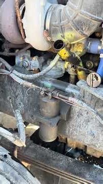 C12 cat owner operator service. Chickens helping. Do you do you own? ##businessoperator #trucking