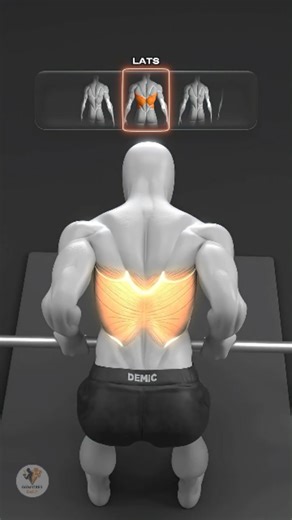 GymVibesDaily on Instagram: "Smith Machine Rows 💪 Which Technique Are YOU Using? 👀 Your stance & grip decide if you’re hitting your lats, traps, or rear delts 👊 Here’s how to choose the right one for your goals 🔥 #SmithMachine #BackWorkout #PullDay #Bodybuilding #StrengthTraining 💾 Save this before your next back workout! 💬 Comment which variation YOU use — Lats 💪 or Traps 🔥"