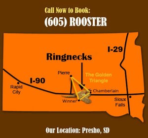 Location | Pheasant Hunting by Ringnecks Hunt Lodge