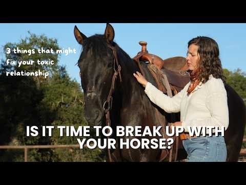Before you break up with your horse, could groundwork, training, or lessons fix your relationship?
