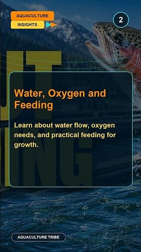 Trout Farming 101: How a Modern Trout Farm Works