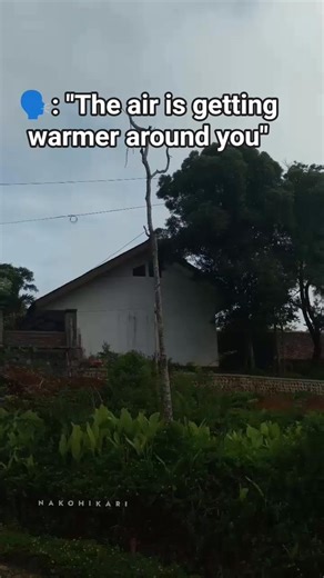 Yharon Fried Chicken #terraria #calamitymod