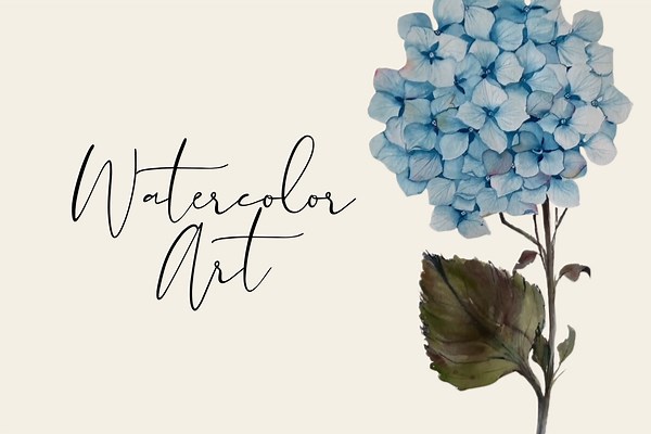 Learn to Paint Hydrangeas with These Easy Steps