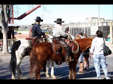 オールドブラックジョー