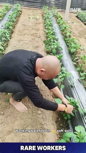 Who Needs Shoes When You Can Farm Like THIS?!