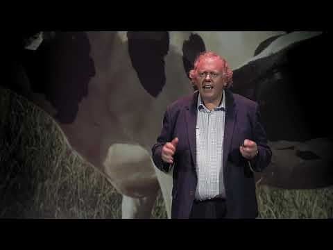 Do Cows think Grass tastes Good? | David Beggs | TEDxWarrnambool