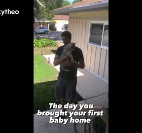 When your dog meets baby for the first time