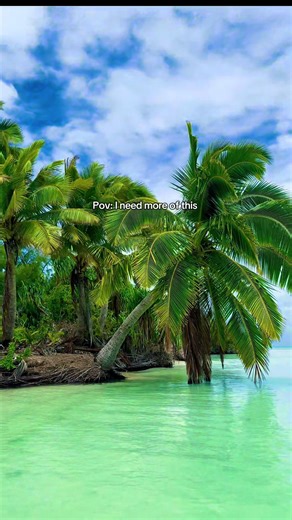 Tropical vibes 😍🌴🥥🛶 #cookislands #aitutaki #tropical #paradise #unreal @Cook Islands