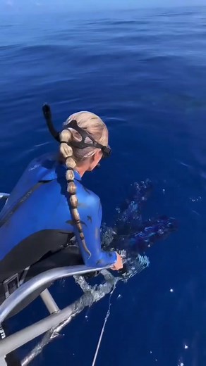 Meet Roxy: A Resilient Tiger Shark Surviving Despite Human Impact