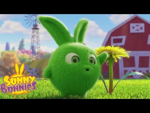 Daffodil Gardening - Sunny Bunnies | Cartoons For Kids