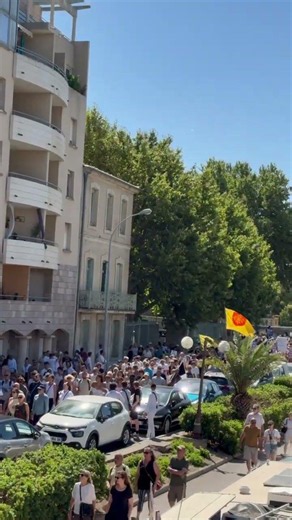 Aperçu de la « Dernière Marche ». Des milliers de personnes sont présentes à Narbonne pour Louis.