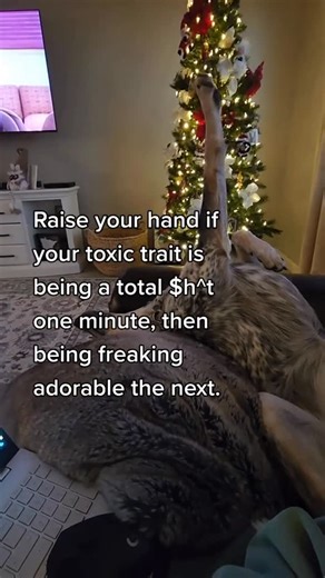 Zella | Blue Heeler with Big Feelings | Toxic trait or Cattle dog Heeler trait❓ ✋🏼 🐾 Maybe it’s just a reactive dog’s saving grace! 🥰🤷🏻‍♀️ ❤️Follow @zella_our_heeler for more... | Instagram