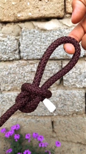 Strong loop knot/#hpwto#ropeknots#shortviral