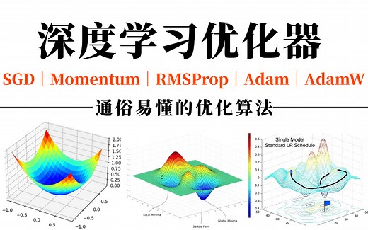【手推公式】最简单易懂的深度学习优化器解读！SGD随机梯度下降、适应性矩估计Adam算法、Momentum、AdaGrad、RMSProp