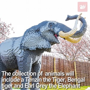 67K views · 656 reactions | Your kids will love this Knowsley Safari  In fact, everybody loves LEGO so adults can enjoy it as well | Liverpool Echo News | Facebook