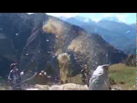 Separating the wheat from the chaff