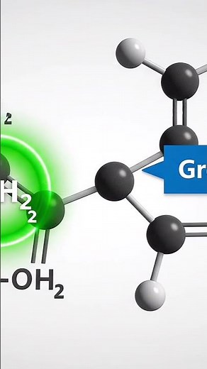 LES ACIDES α-AMINÉS | Cours Complet Terminale C & D | Physique-Chimie | N-SPIRES ACADÉMIE