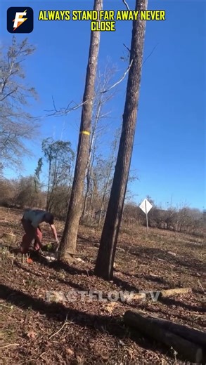 “Tree Cutting Safety Gone Wrong – Always Keep Distance! #SafetyFirst #EpicFail #StaySafe”
