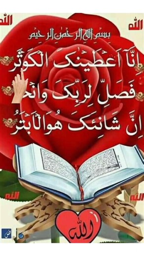surah kawthar 🌹🌺 Surah al baqarah سورہ البقرہ #surah #surahalbaqarah #surahbaqarah #shortsfeed