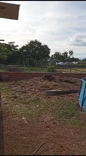 Así funciona nuestro reactor Biodigestor. Pronto daremos más detalles sobre este excelente sistema basado en el buen uso de los residuos que podemos utilizar a nuestro favor ... #campo #biogas #ibague #emprendedoresrurales #SomosNEGOCIOVERDE #granjavillacabras | Granja Farms