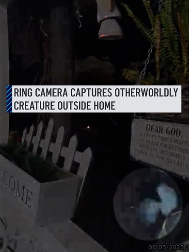 A California resident’s quest for clarity on what she captured on her doorbell camera widely circulated on social media and has the public asking – are there aliens in Compton? An 11-second video posted by Jessica Ortiz garnered more than 1 million views on her Instagram account. The quick clip, taken by the Ring camera on her porch, shows an alien-looking figure trotting along the side of her porch. #alien #ring #camera #socialmedia