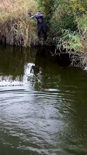 Mind-Blowing Glidebait💥3D Glide Roach in Full Action #savagegear #fishing #glideroach